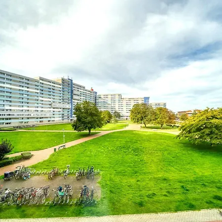 Apartamento - Haus N, App 0n0209